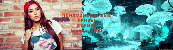 кокс Алексин